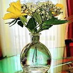 Boutique Am Hagnau am Bodensee
