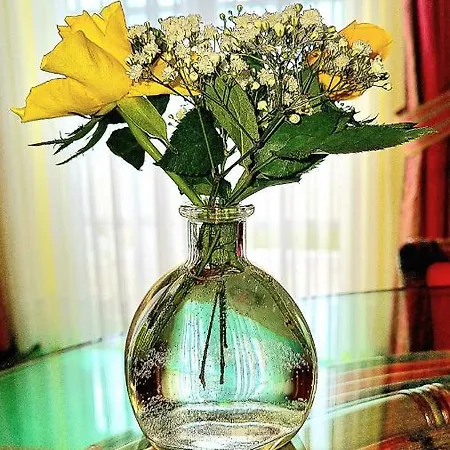 Boutique Am (adults Only) Хагнау