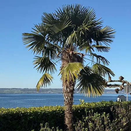 Boutique Am (adults Only) Hotel 4*