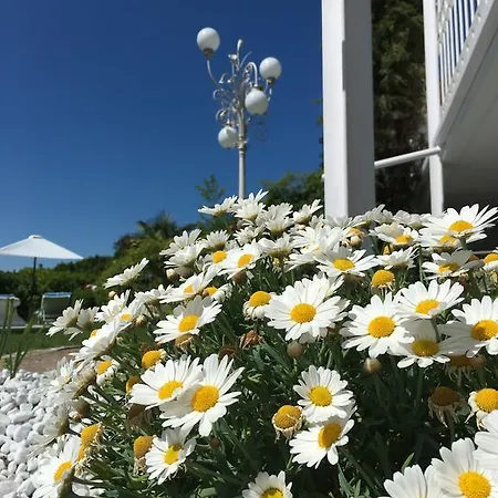 Hotel Boutique Am (adults Only)